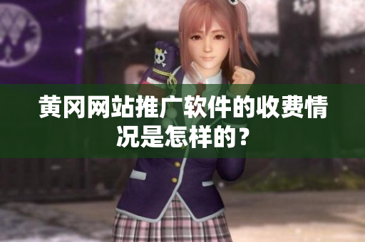 黄冈网站推广软件的收费情况是怎样的？