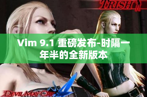 Vim 9.1 重磅发布-时隔一年半的全新版本