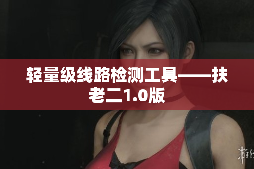 轻量级线路检测工具——扶老二1.0版