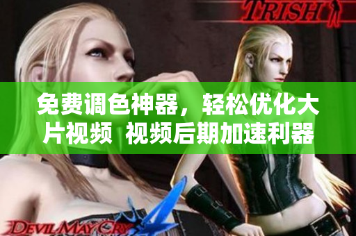免费调色神器，轻松优化大片视频  视频后期加速利器