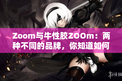 Zoom与牛性胶ZOOm：两种不同的品牌，你知道如何区分吗？