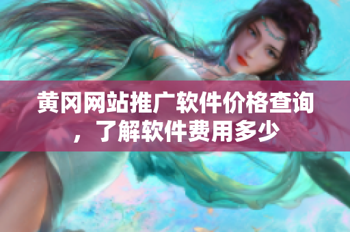 黄冈网站推广软件价格查询，了解软件费用多少