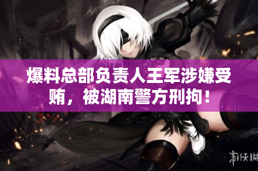 爆料总部负责人王军涉嫌受贿，被湖南警方刑拘！