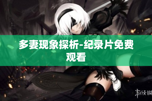多妻现象探析-纪录片免费观看