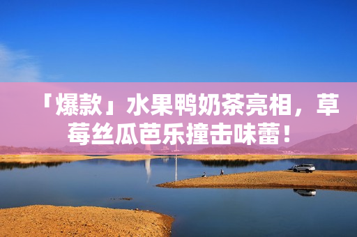 「爆款」水果鸭奶茶亮相，草莓丝瓜芭乐撞击味蕾！
