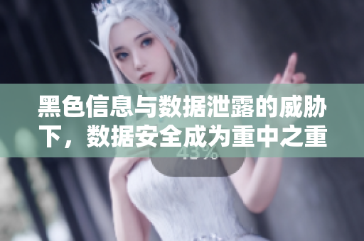 黑色信息与数据泄露的威胁下，数据安全成为重中之重