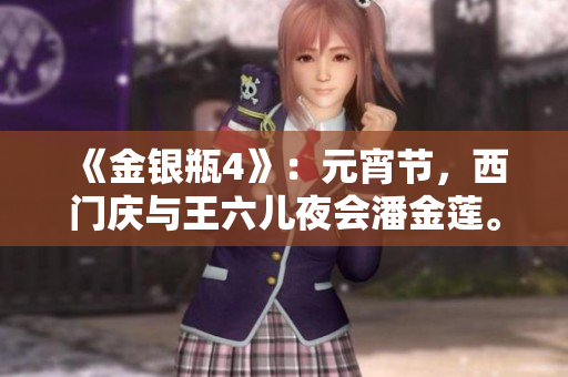《金银瓶4》：元宵节，西门庆与王六儿夜会潘金莲。