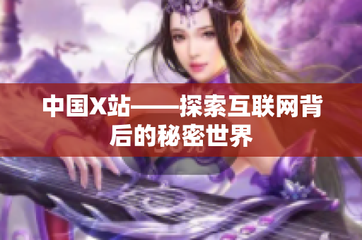 中国X站——探索互联网背后的秘密世界