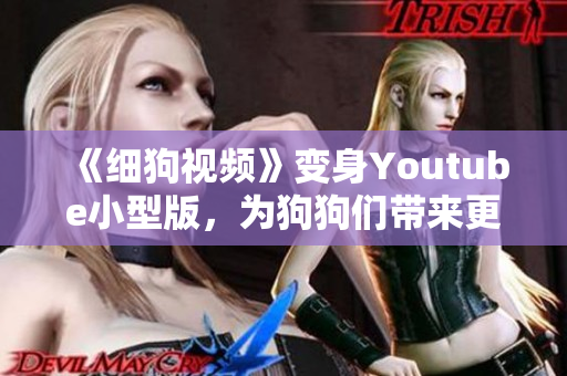《细狗视频》变身Youtube小型版，为狗狗们带来更多欢乐