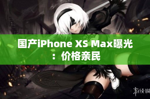 国产iPhone XS Max曝光：价格亲民