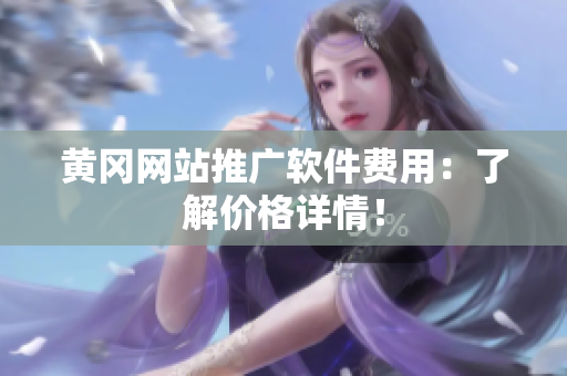 黄冈网站推广软件费用：了解价格详情！