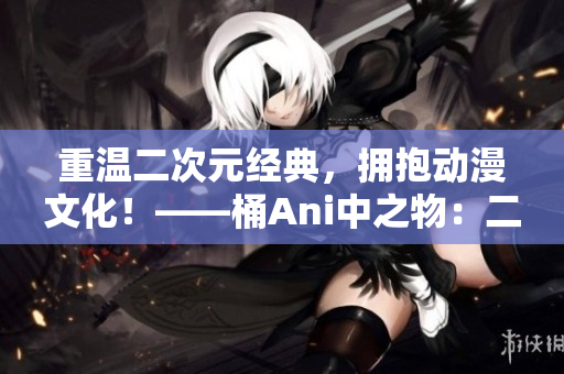 重温二次元经典，拥抱动漫文化！——桶Ani中之物：二次元人物漫画
