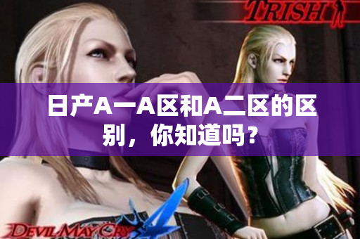 日产A一A区和A二区的区别，你知道吗？