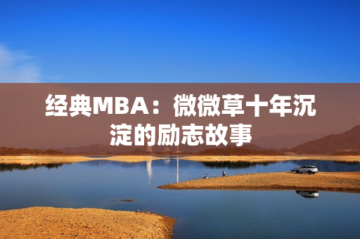 经典MBA：微微草十年沉淀的励志故事