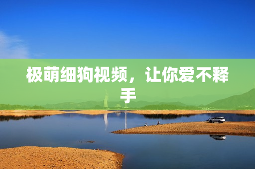 极萌细狗视频，让你爱不释手