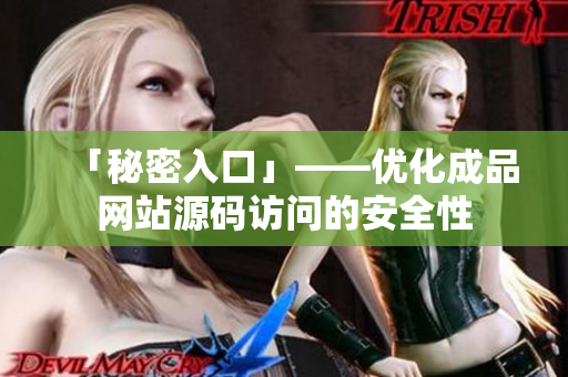 「秘密入口」——优化成品网站源码访问的安全性