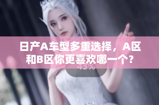 日产A车型多重选择，A区和B区你更喜欢哪一个？