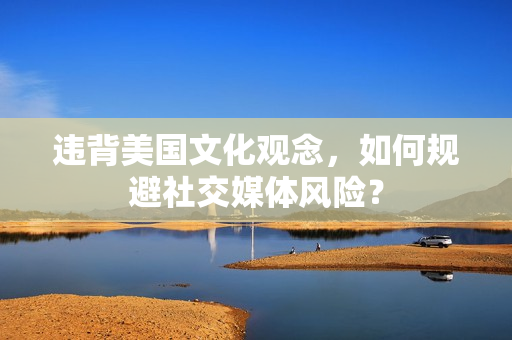 违背美国文化观念，如何规避社交媒体风险？