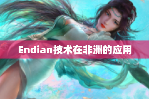 Endian技术在非洲的应用