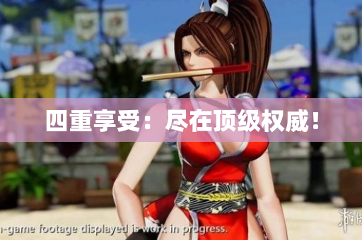 四重享受：尽在顶级权威！