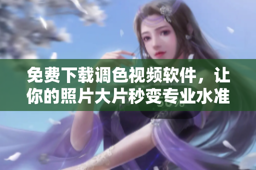 免费下载调色视频软件，让你的照片大片秒变专业水准
