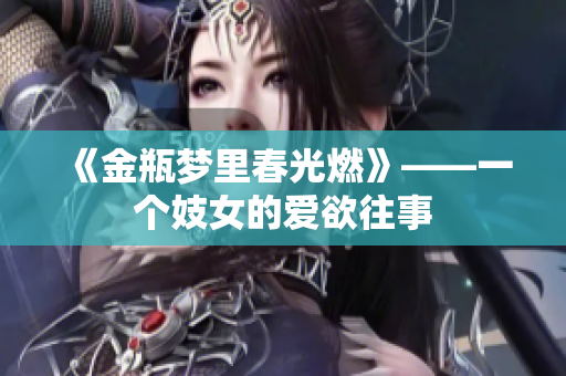 《金瓶梦里春光燃》——一个妓女的爱欲往事
