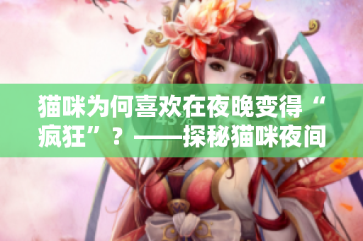 猫咪为何喜欢在夜晚变得“疯狂”？——探秘猫咪夜间行为