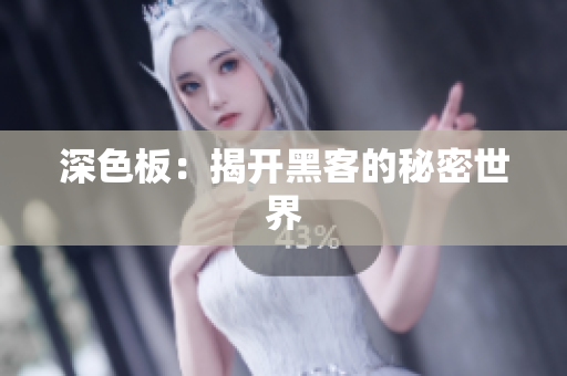 深色板：揭开黑客的秘密世界