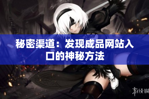 秘密渠道：发现成品网站入口的神秘方法