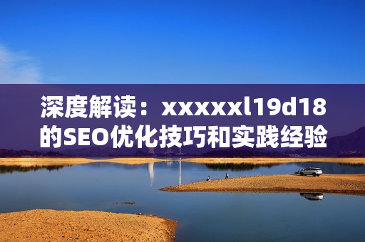 深度解读：xxxxxl19d18的SEO优化技巧和实践经验