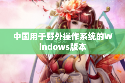 中国用于野外操作系统的Windows版本