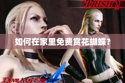 如何在家里免费赏花蝴蝶？