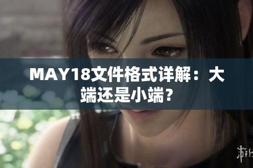MAY18文件格式详解：大端还是小端？