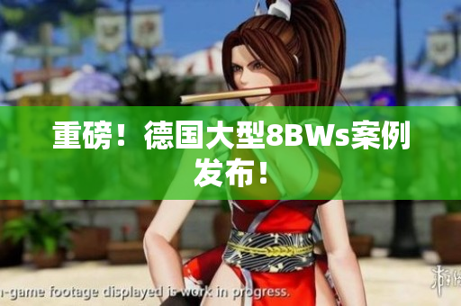 重磅！德国大型8BWs案例发布！
