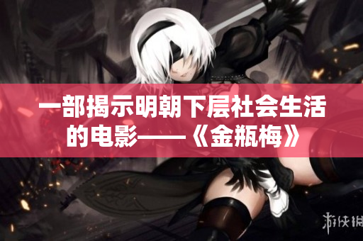 一部揭示明朝下层社会生活的电影——《金瓶梅》