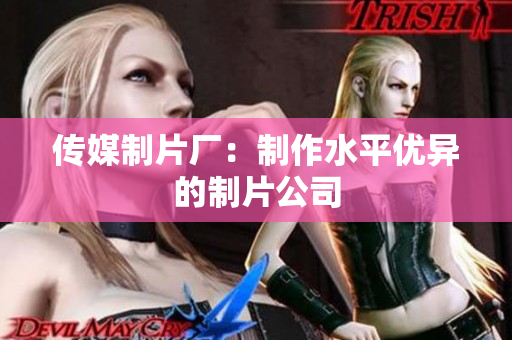 传媒制片厂：制作水平优异的制片公司