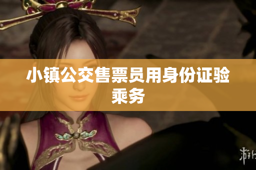 小镇公交售票员用身份证验乘务