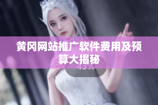 黄冈网站推广软件费用及预算大揭秘