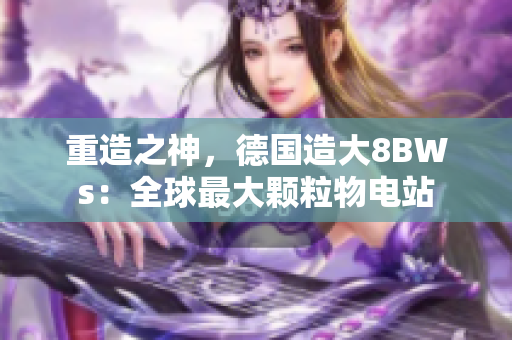 重造之神，德国造大8BWs：全球最大颗粒物电站