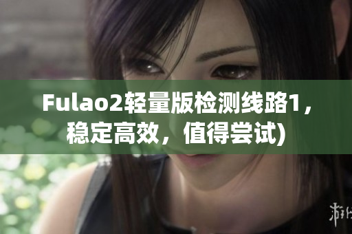 Fulao2轻量版检测线路1，稳定高效，值得尝试)