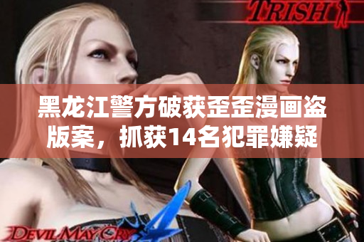 黑龙江警方破获歪歪漫画盗版案，抓获14名犯罪嫌疑人。