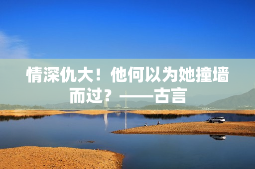 情深仇大！他何以为她撞墙而过？——古言