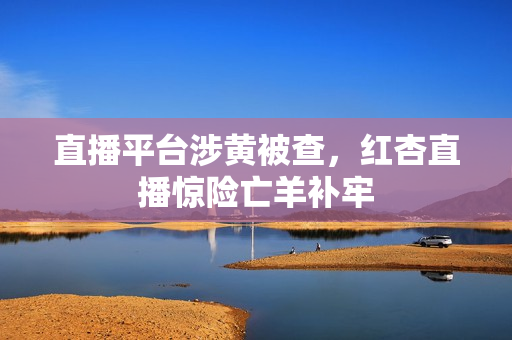 直播平台涉黄被查，红杏直播惊险亡羊补牢