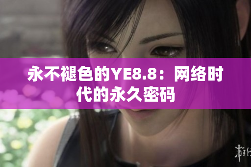 永不褪色的YE8.8：网络时代的永久密码