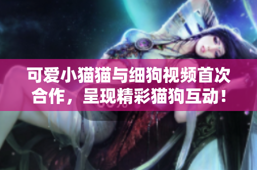 可爱小猫猫与细狗视频首次合作，呈现精彩猫狗互动！