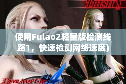 使用Fulao2轻量版检测线路1，快速检测网络速度)