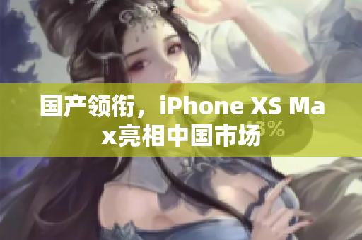 国产领衔，iPhone XS Max亮相中国市场