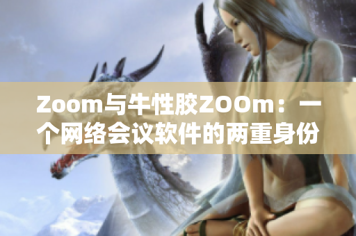 Zoom与牛性胶ZOOm：一个网络会议软件的两重身份