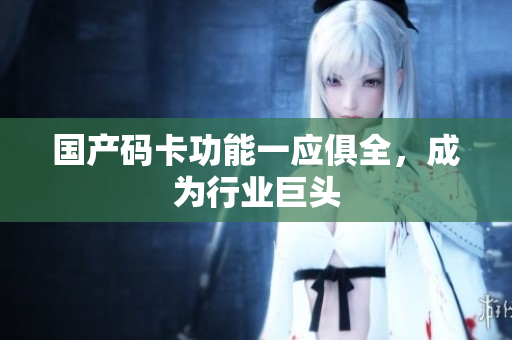 国产码卡功能一应俱全，成为行业巨头
