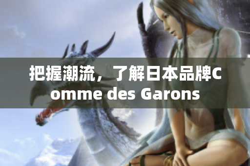 把握潮流，了解日本品牌Comme des Garons
